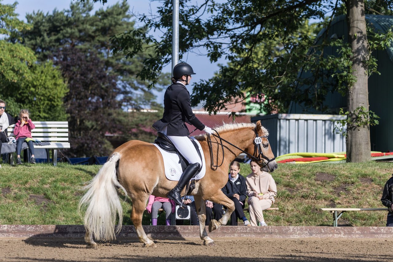 Bild 161 - Pony Akademie Turnier